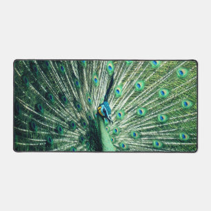 Peacock Strut Desk Mat