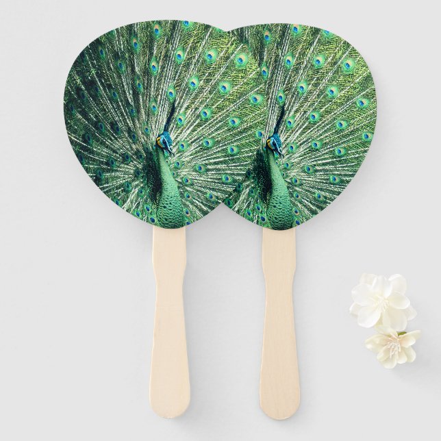Peacock Strut  Hand Fan (Front and Back)