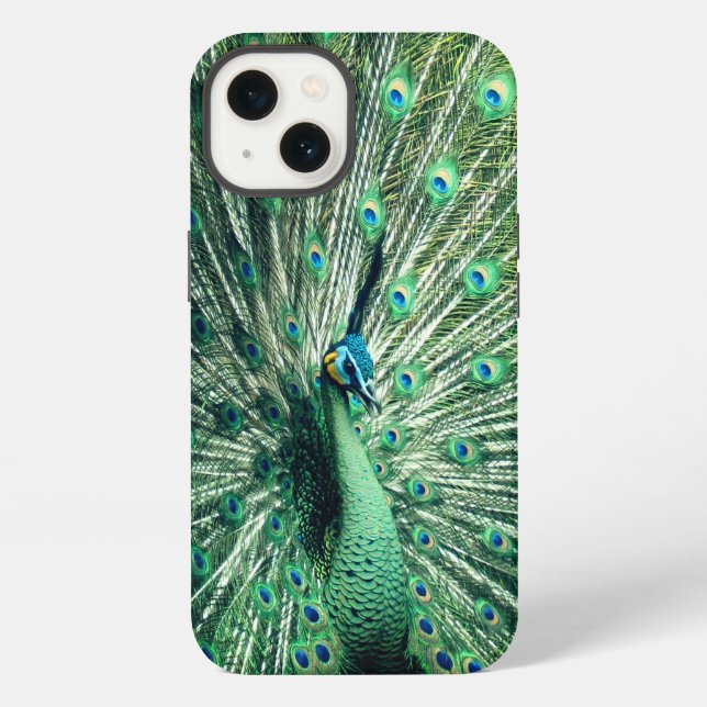 Peacock Strut  iPhone Case (Back)