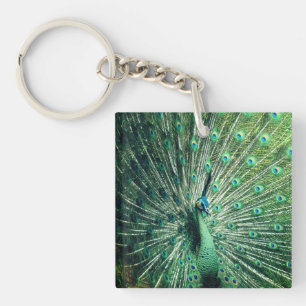 Peacock Strut  Key Ring
