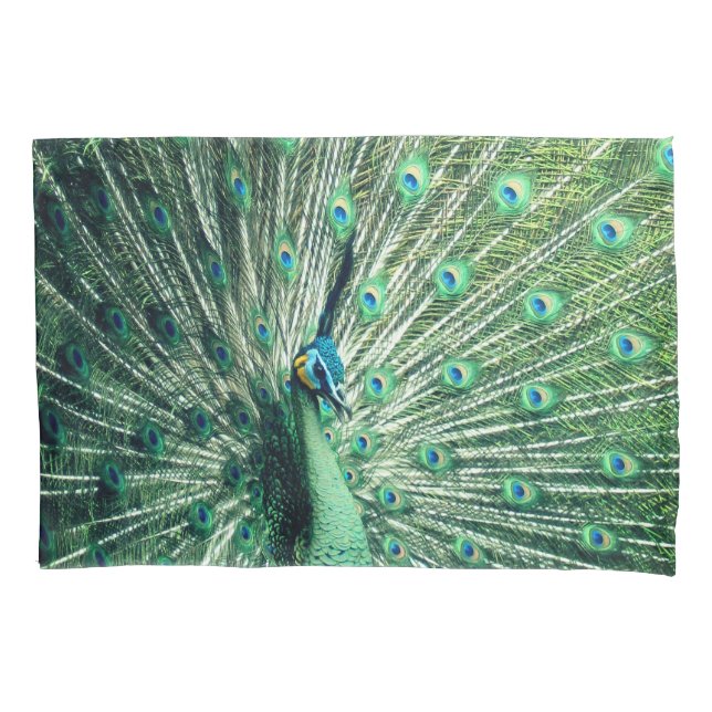 Peacock Strut  Pillowcase (Front)