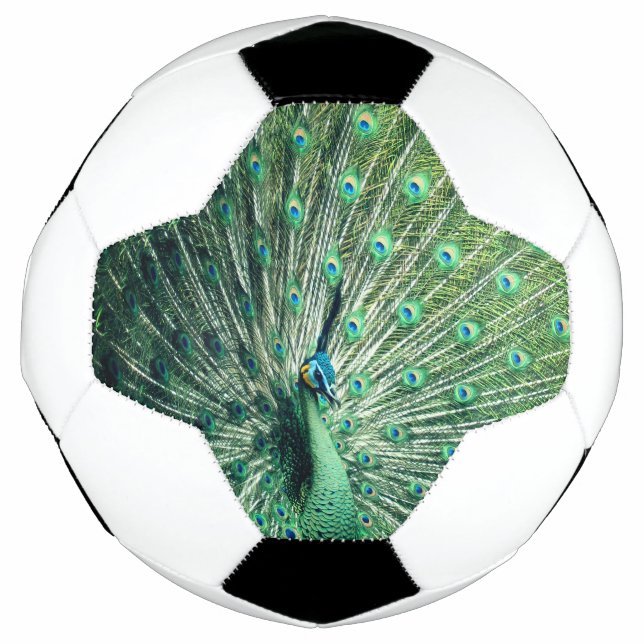 Peacock Strut  Soccer Ball (Front)