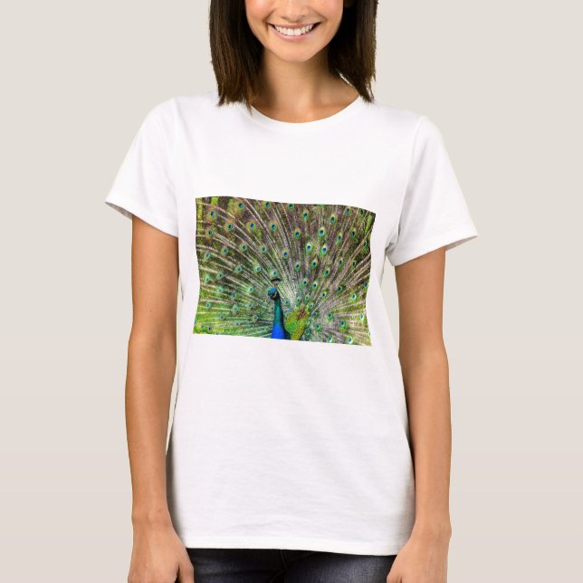 Peacock T-Shirt (Front)