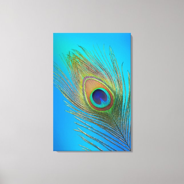 Peacock Tail Feather Canvas Print (Front)
