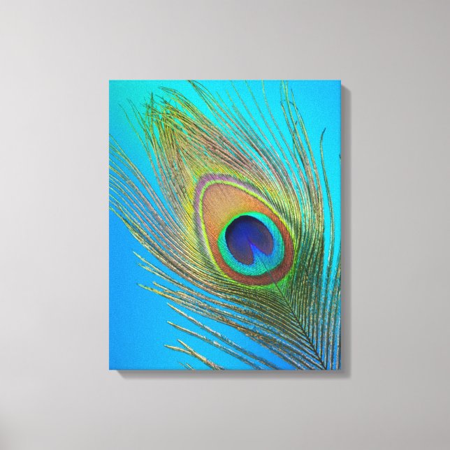 Peacock Tail Feather Canvas Print (Front)