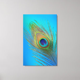 Peacock Tail Feather Canvas Print