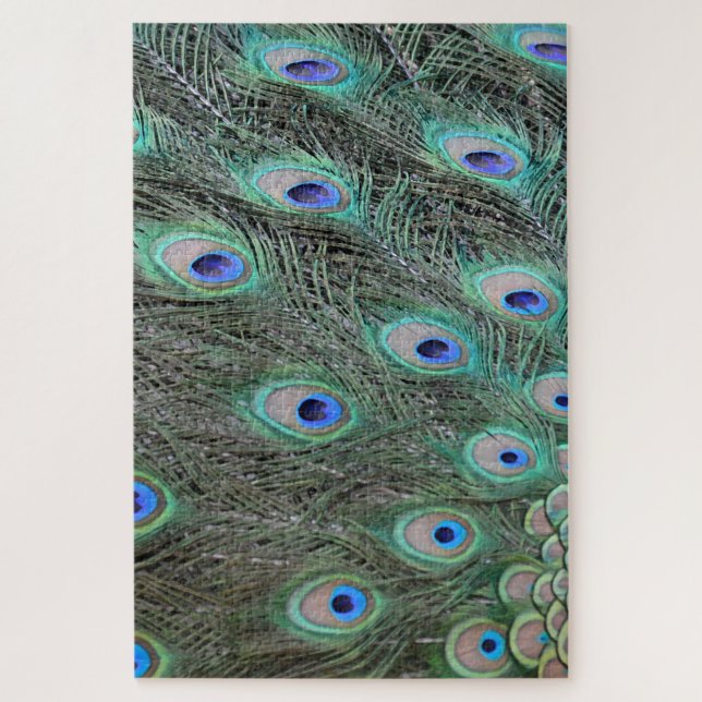 Peacock tail feathers jigsaw puzzle (Vertical)