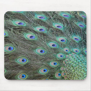 Peacock tail feathers mouse pad