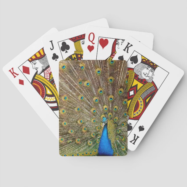 Peacock Tail Feathers Playing Cards (Back)