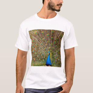 Peacock Tail Feathers T-Shirt