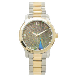Peacock Tail Feathers Watch