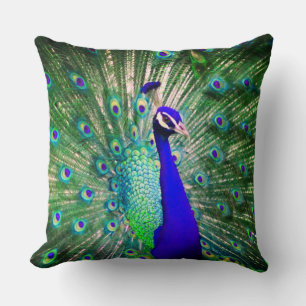 Peacock Throw PIllow