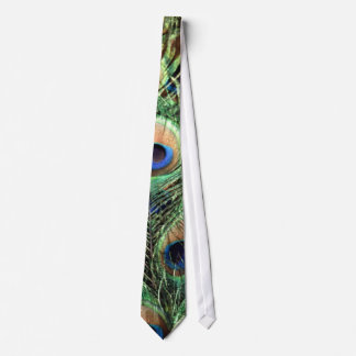 peacock, tie