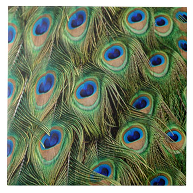 Peacock Tile (Front)