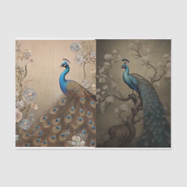 Peacock Tissue Page Tissue Paper (Front)