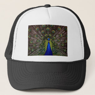 Peacock Trucker Hat