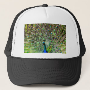 Peacock Trucker Hat