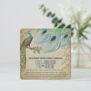 Peacock Vintage 3 Feathers Old Paper Invitation