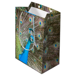Peacock with Feathers Fanned Out - Wildlife Photo Medium Gift Bag
