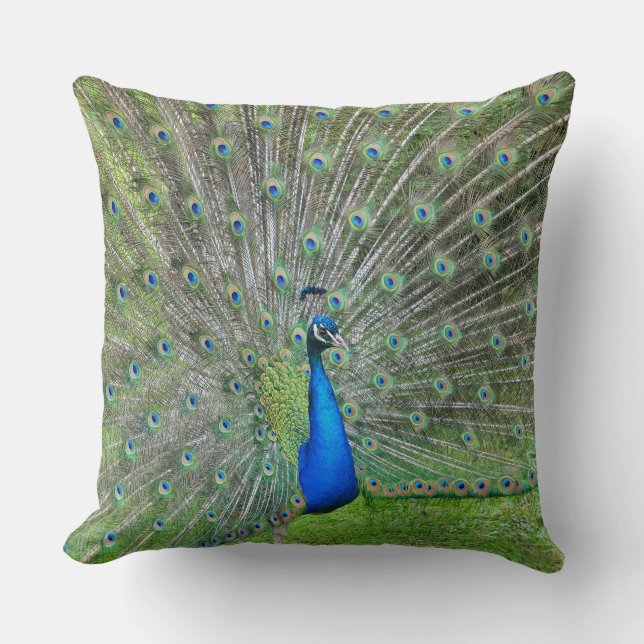 Peacock with open tail cushion (Front)