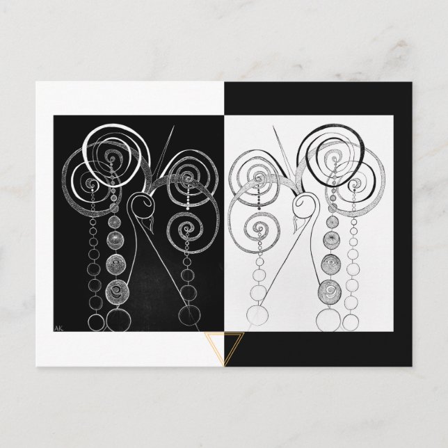 Peacock Yin and Yang DUET illustration  Postcard (Front)