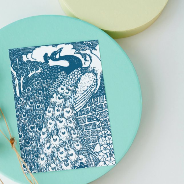 Peacocks (Creator Uploaded)