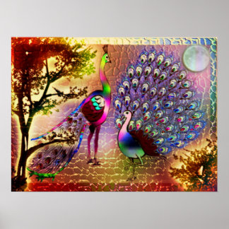 Peacocks2 Poster