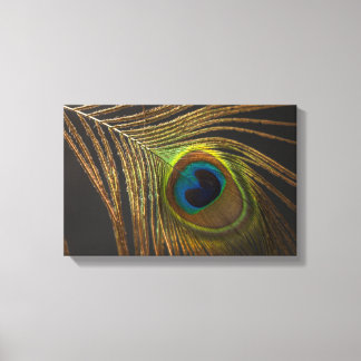 Peacock's eye canvas print
