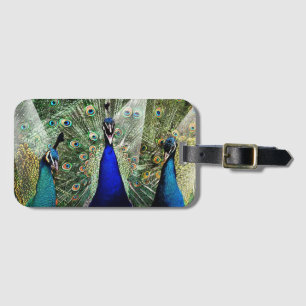 Peacocks Luggage Tag