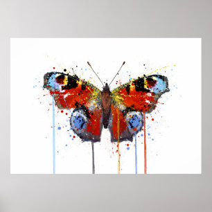 Peacook Butterfly Poster
