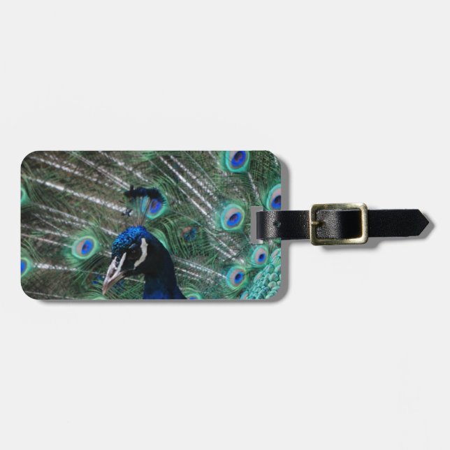 Peafowl Bird Luggage Tag (Front Horizontal)