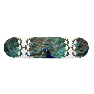 Peafowl Bird Skateboard
