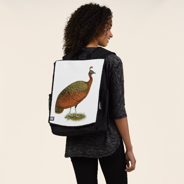 Peafowl:  Congo Peahen Backpack (Worn)