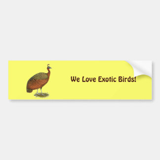 Peafowl: Congo Peahen Bumper Sticker