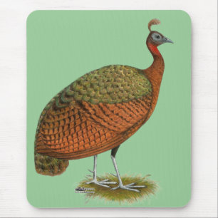 Peafowl:  Congo Peahen Mouse Pad