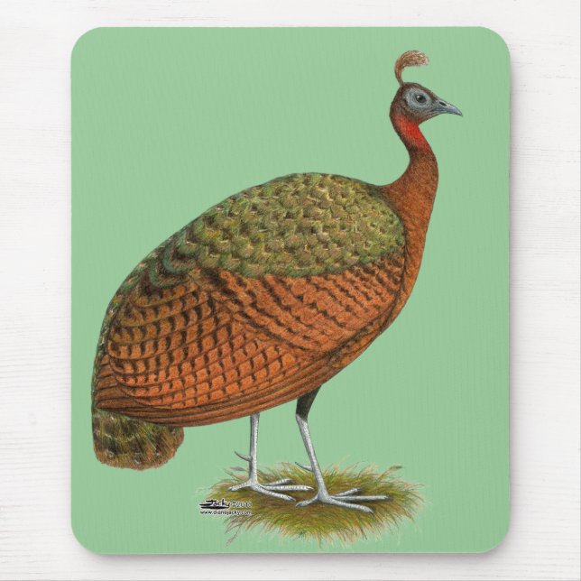 Peafowl:  Congo Peahen Mouse Pad (Front)