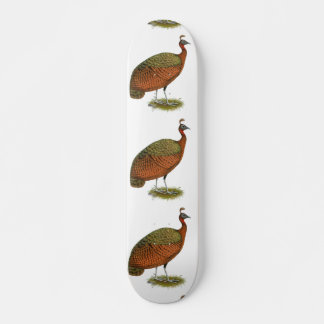 Peafowl: Congo Peahen Skateboard