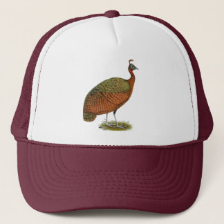 Peafowl: Congo Peahen Trucker Hat
