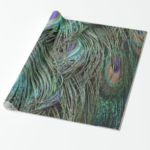 Peafowl Feathers Wrapping Paper