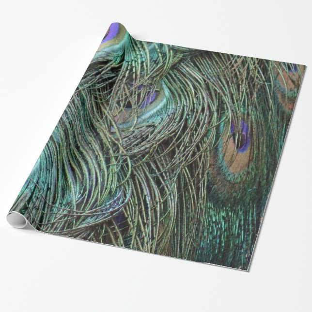 Peafowl Feathers Wrapping Paper (Unrolled)