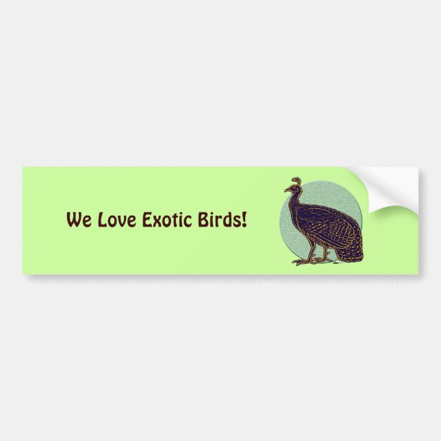 Peafowl:  Impressionistic Congo Hen Bumper Sticker (Front)