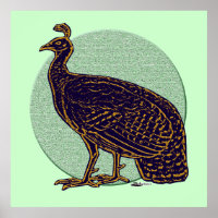 Peafowl: Impressionistic Congo Hen