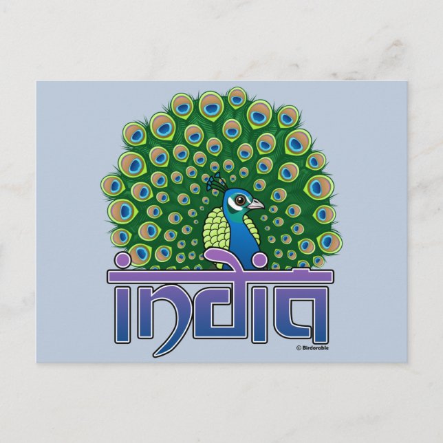 Peafowl of India Postcard (Front)