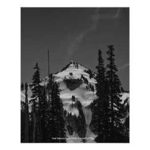 Peak Between Trees Photo Print