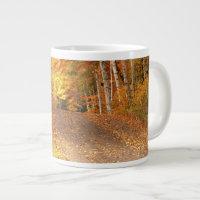 Peak Fall Foliage Season in the U. P.