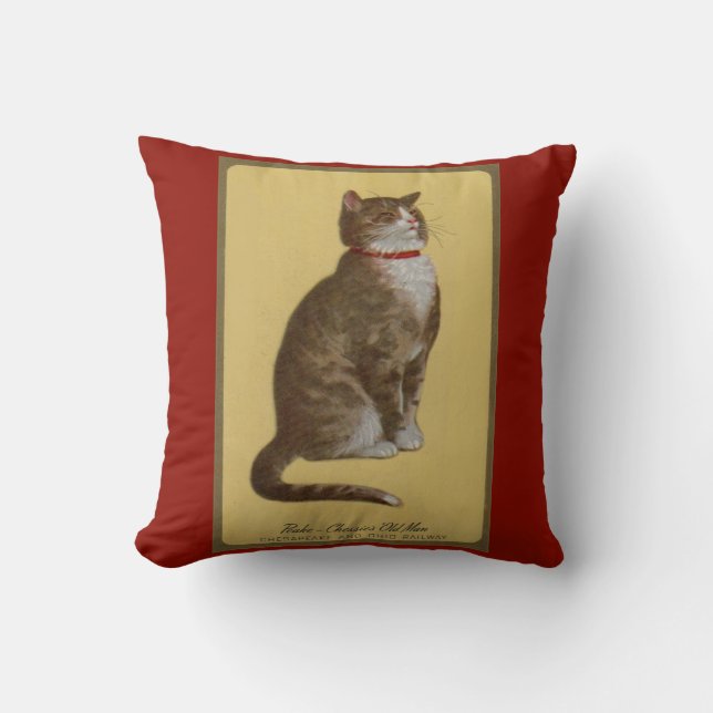 Peake, Chessie’s Old Man tomcat tabby cat Cushion (Front)
