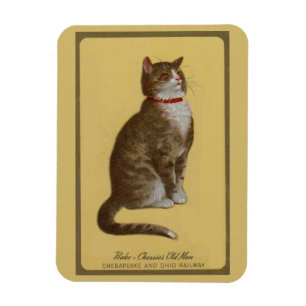 Peake, Chessie’s Old Man tomcat tabby cat Magnet