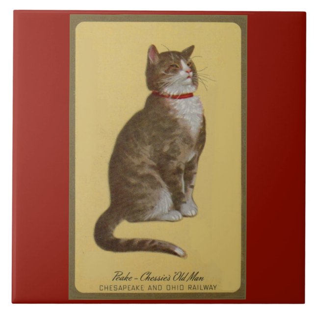 Peake, Chessie’s Old Man tomcat tabby cat Tile (Front)