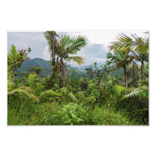 Peaks and valleys of el yunque photo print