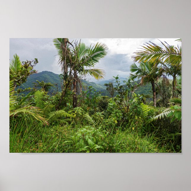 Peaks and valleys of el yunque poster (Front)